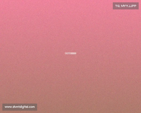 5月26日直播预告