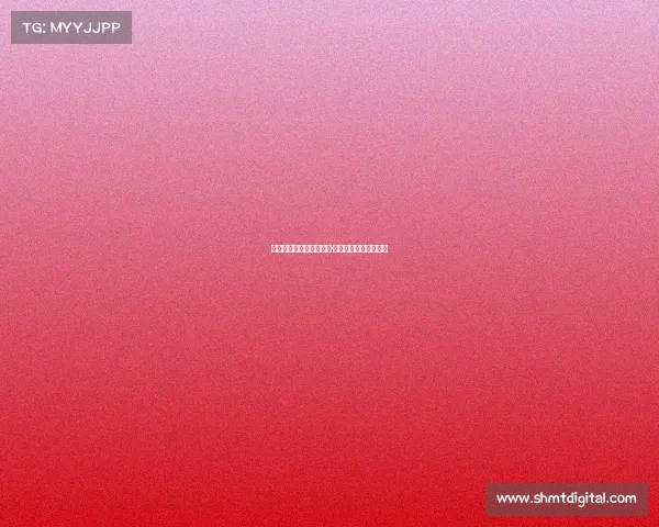 中国武术赛事—中华武魂·全国武术精英巅峰对决