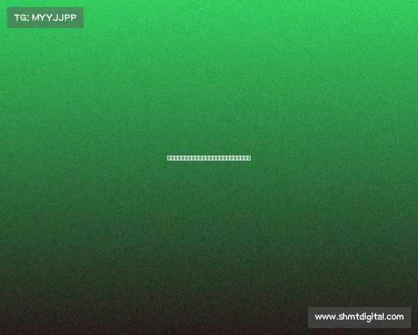 在现代环境下运动赛事安保措施的关键要素与实施策略