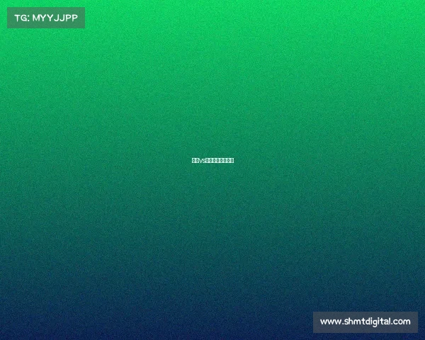 奇才vs篮网赛事解读视频