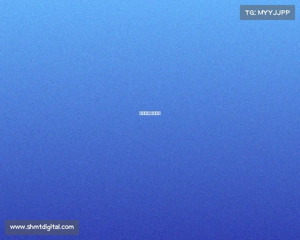 所属赛事;赛事范围