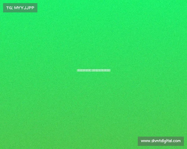 电子竞技员成为职业;电子竞技员成为职业经理人