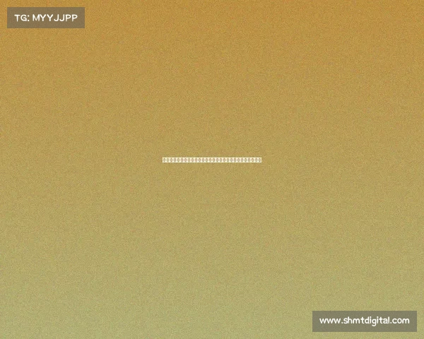 深圳梦竞未来电竞学院：开启职业电竞人才的专业化培养新征程